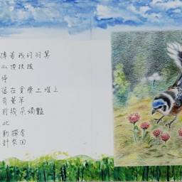 課程圖片